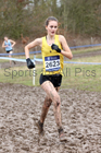 Womens under-20s 2018 British Inter Counties Cross Country Champs., Prestwold Hall, Loughborough. Photo: David T. Hewitson/Sports for All Pics